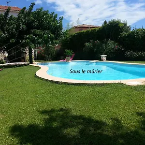 Sous Le Murier Bed & Breakfast